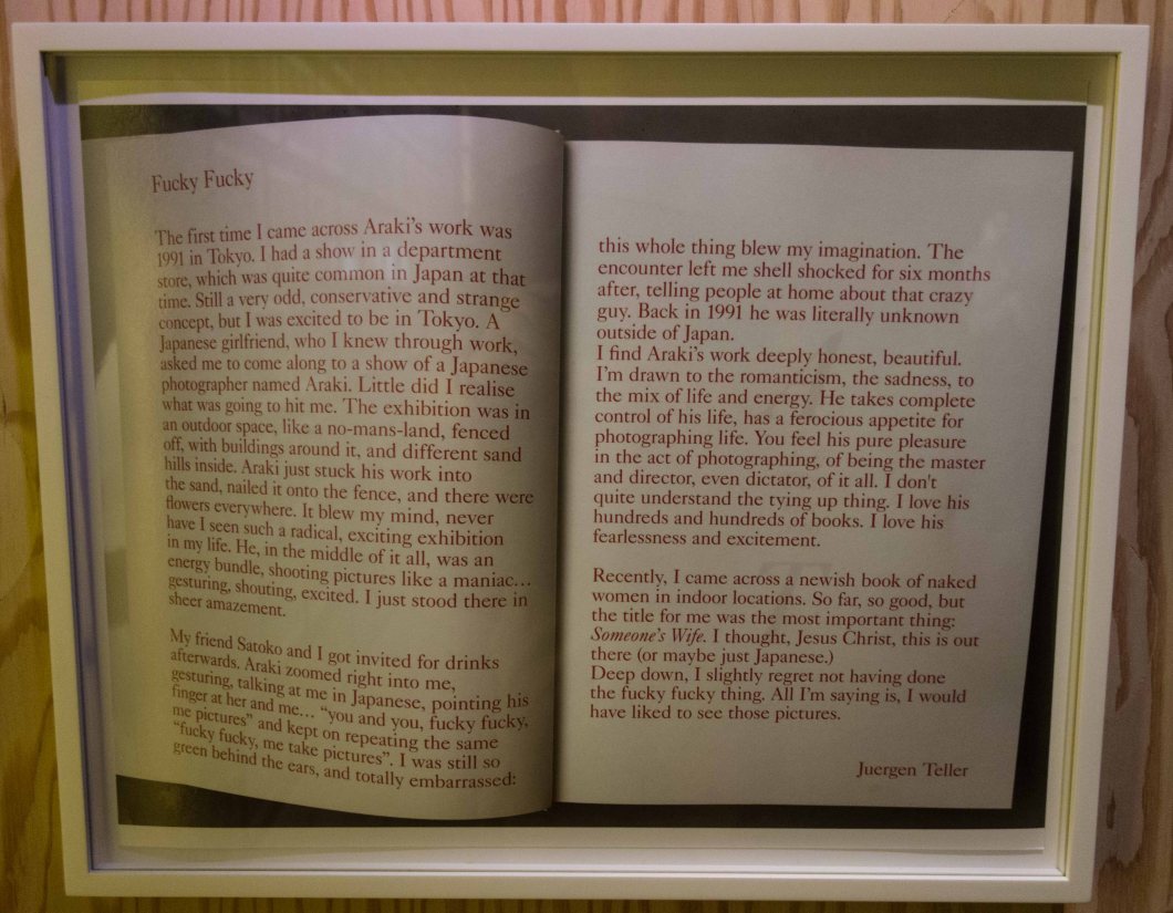 the incomplete araki mosex d.d. teoli jr. (32)