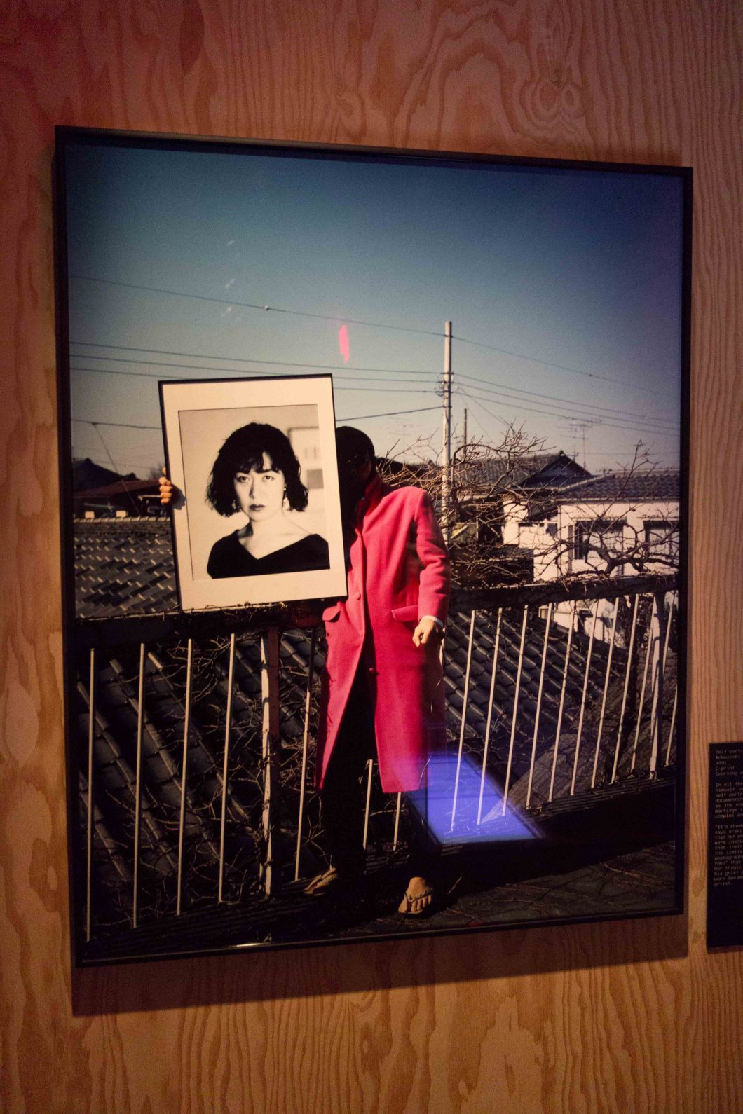 the incomplete araki mosex d.d. teoli jr. (40)