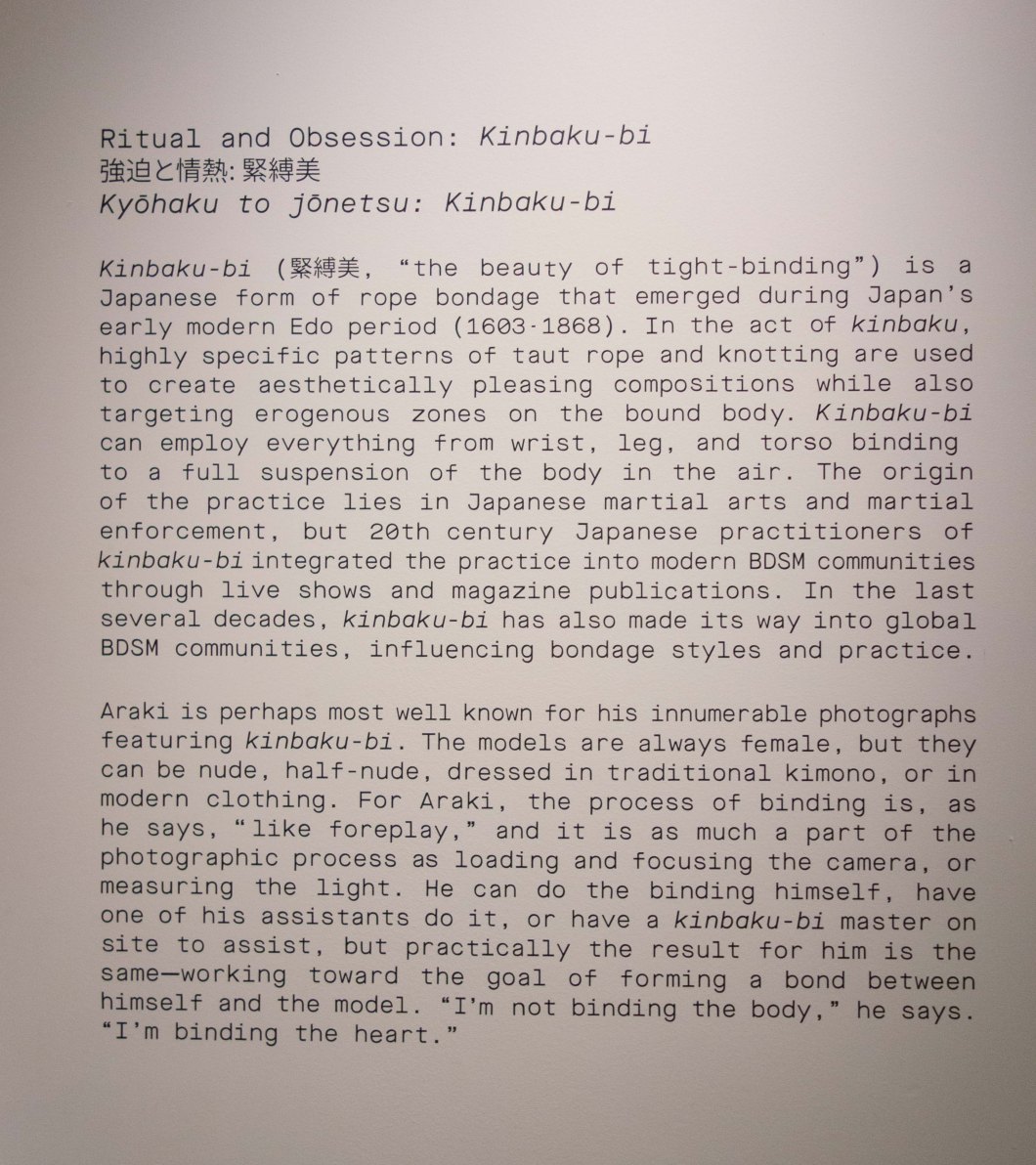 the incomplete araki mosex d.d. teoli jr. (51)