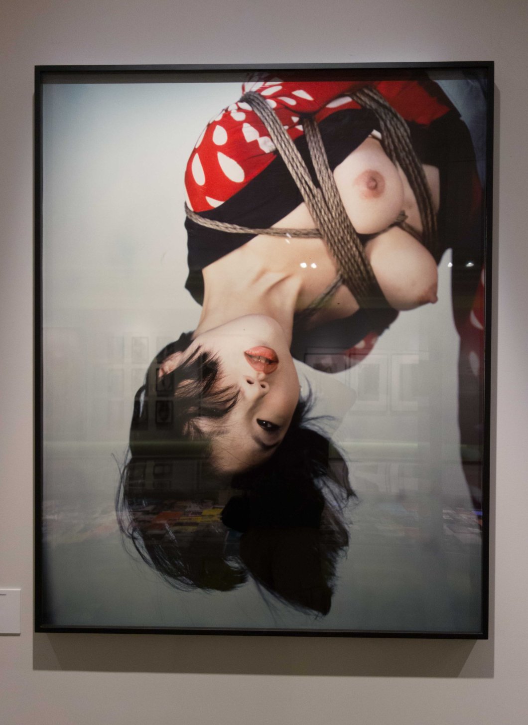 the incomplete araki mosex d.d. teoli jr. (52)