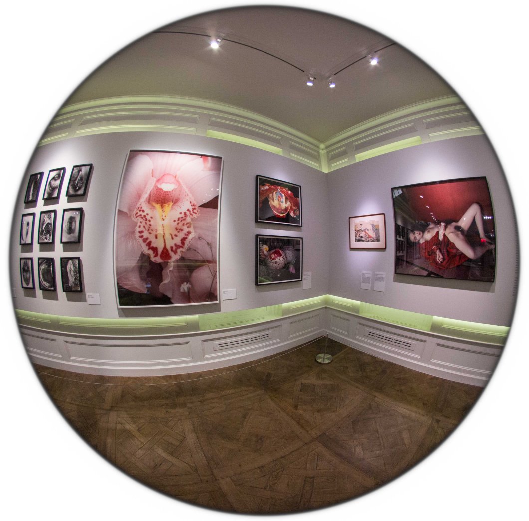 the incomplete araki mosex d.d. teoli jr. (58)