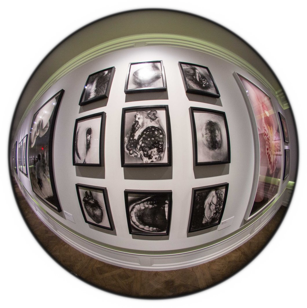 the incomplete araki mosex d.d. teoli jr. (59)