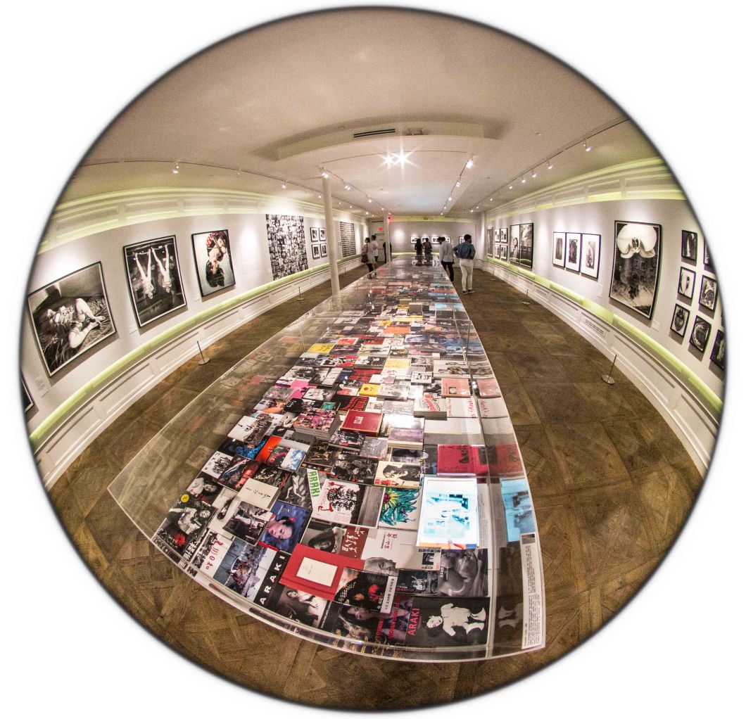 the incomplete araki mosex d.d. teoli jr. (60)