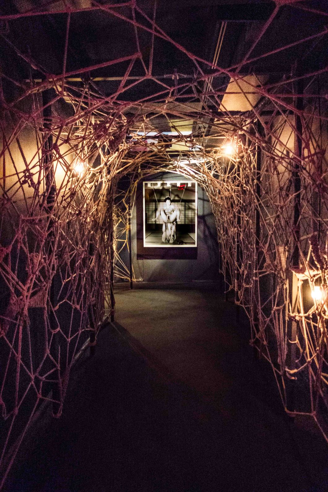 the incomplete araki mosex d.d. teoli jr. (69)