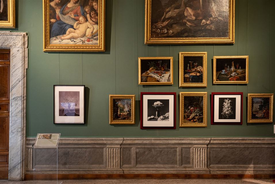 Mapplethorpe Gallerie Nazionali di Arte Antica (3)