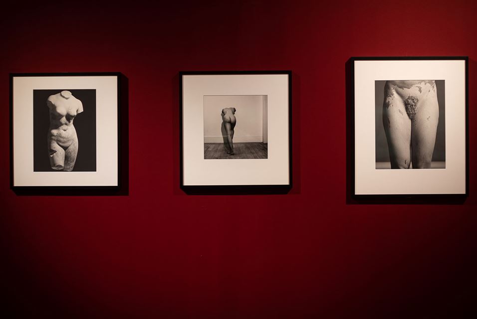 Mapplethorpe Gallerie Nazionali di Arte Antica (5)